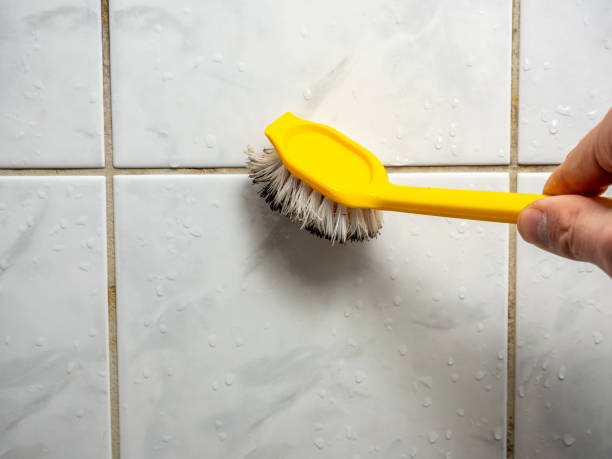 Best Residential Mold Remediation in Rochester Hills, MI