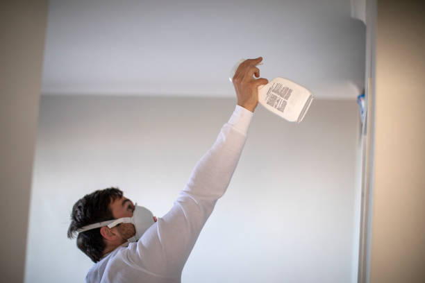Best Preventive Mold Services in Rochester Hills, MI