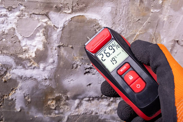 Best Emergency Mold Remediation in Rochester Hills, MI