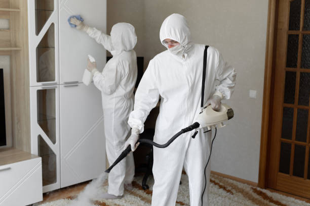 Best Commercial Mold Remediation in Rochester Hills, MI